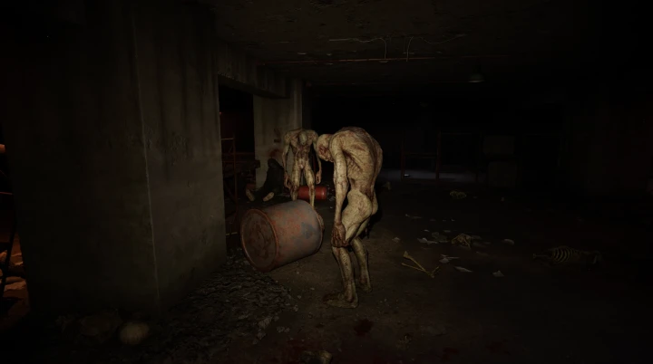 S.T.A.L.K.E.R. 2：死せる周波数