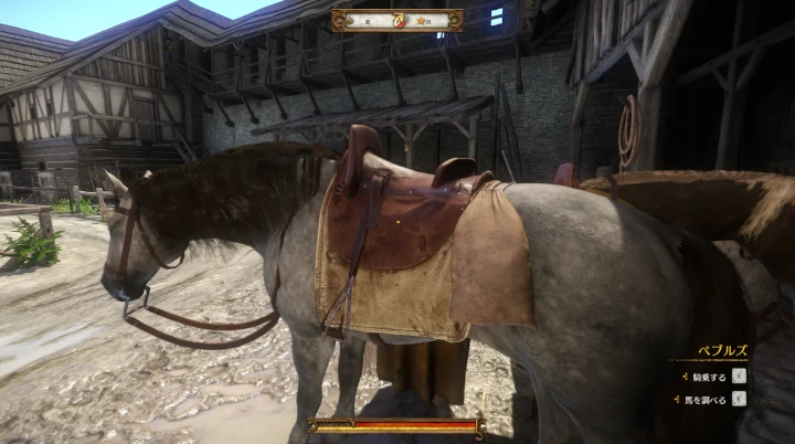 KCD1:ペブルズ