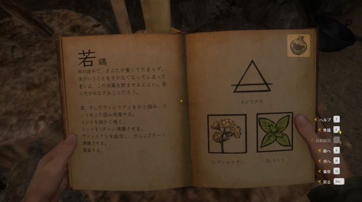 KCD1:若鶏のポーション