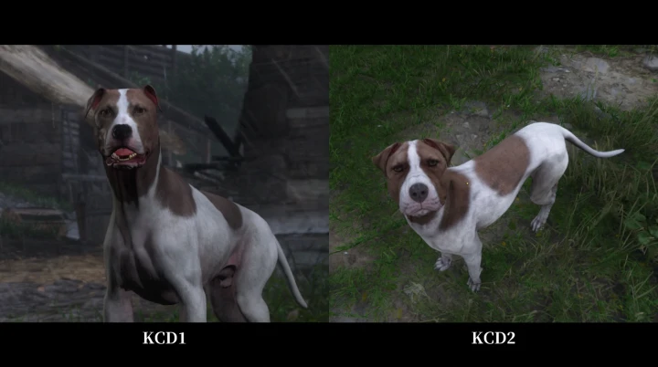 KCD1とKCD2のマット