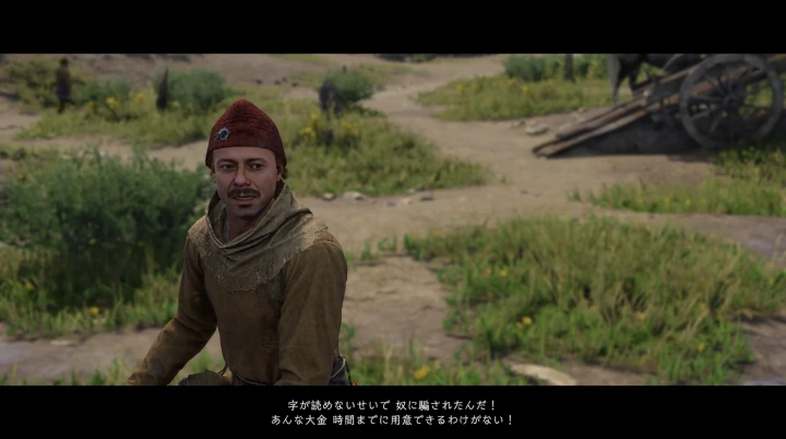 ハエの問題を解決する