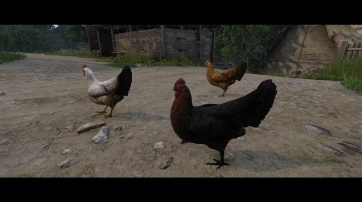 KCD2：明暗の技法