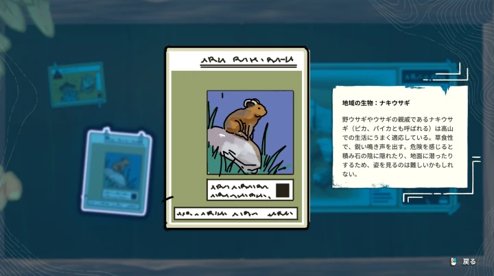 地域の生物：ナキウサギ