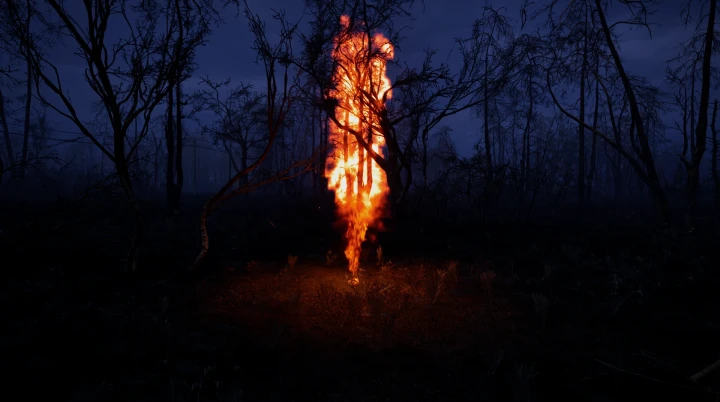 Classic Fire