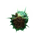 モールド