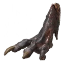 オオネズミの足
