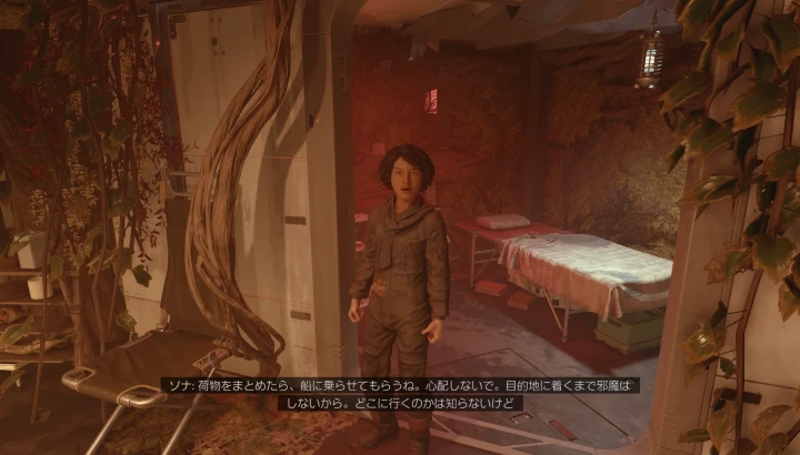 ソナを説得する