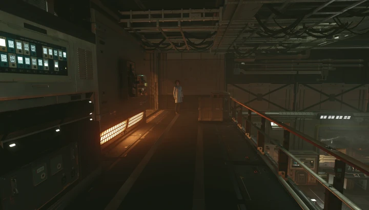 ロクサーヌを探す