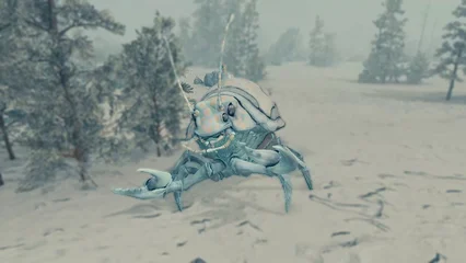 beetlecrab-304.webp
