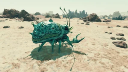 beetlecrab-307.webp