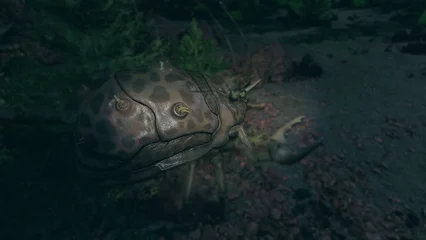 beetlecrab-310.webp