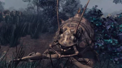 beetlecrab-323.webp