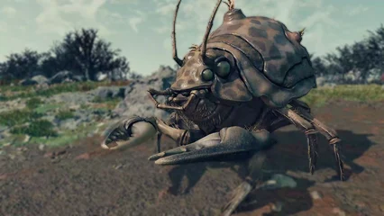 beetlecrab-338.webp