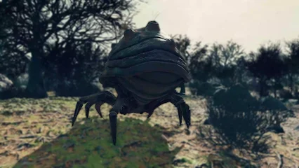 beetlecrab-357.webp