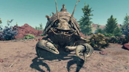 beetlecrab-361.webp