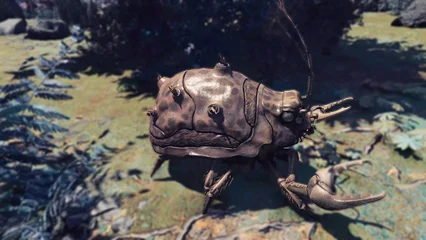 beetlecrab-365.webp