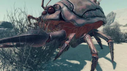 beetlecrab-381.webp