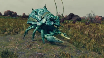 beetlecrab-385.webp