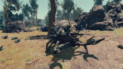 beetlecrab-386.webp