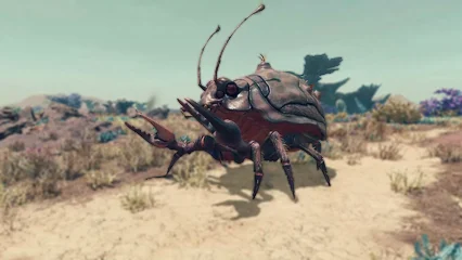beetlecrab-388.webp
