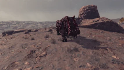 bighorn-324.webp