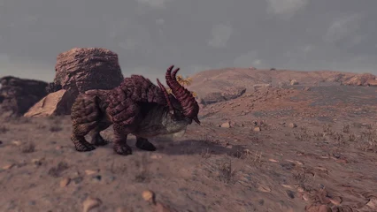 bighorn-332.webp