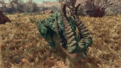 bighorn-370.webp