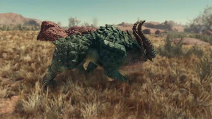 bighorn-385.webp