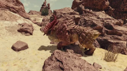 bighorn-390.webp