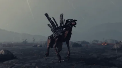 bladeback-312.webp