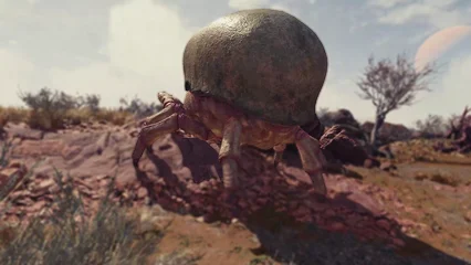 blistercrab-318.webp