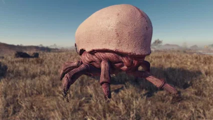 blistercrab-326.webp