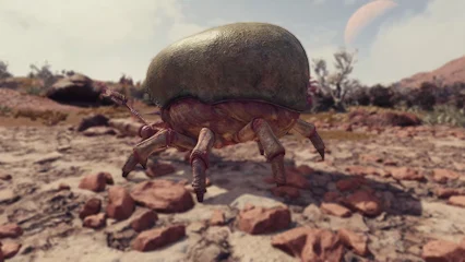 blistercrab-352.webp