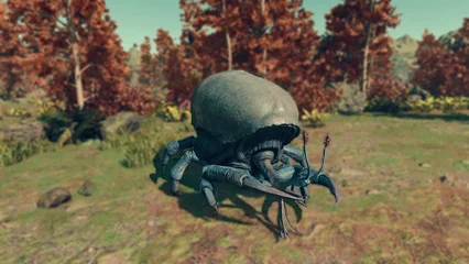 blistercrab-354.webp