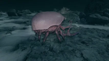blistercrab-368.webp