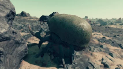 blistercrab-381.webp