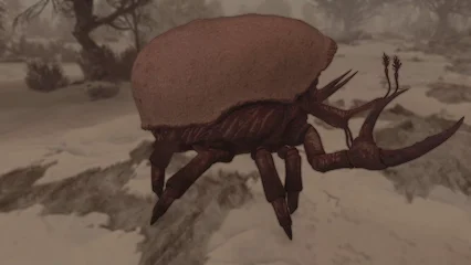 blistercrab-386.webp