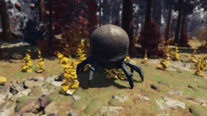 blistercrab-387.webp