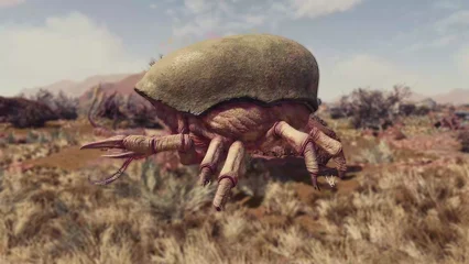 blistercrab-388.webp