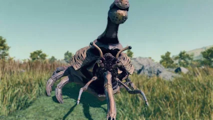 boneback-306.webp
