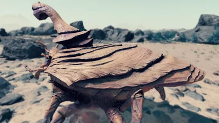 boneback-310.webp