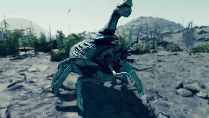 boneback-315.webp