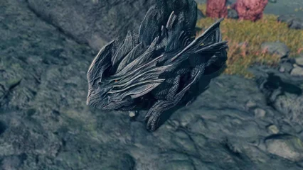 bonefrill-318.webp