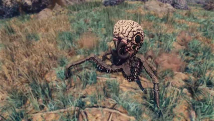 brainsquid-328.webp