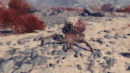 brainsquid-371.webp