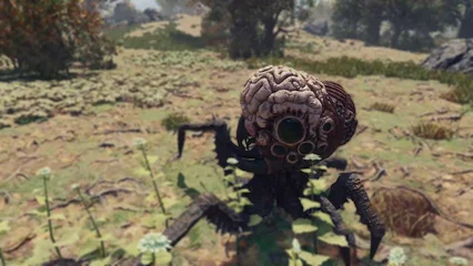 brainsquid-377.webp