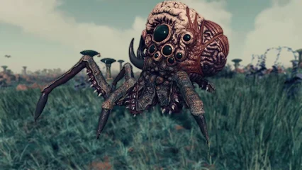 brainsquid-384.webp