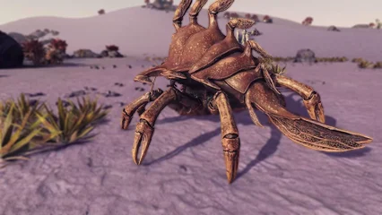 clawback-353.webp