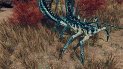 coralcrawler-304.webp