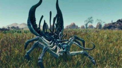 coralcrawler-335.webp